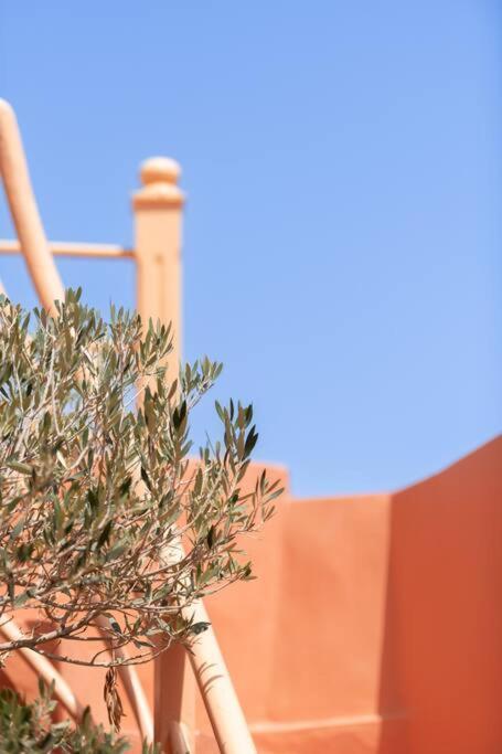 Riad Le Petit Bacha Marrakesz Zewnętrze zdjęcie